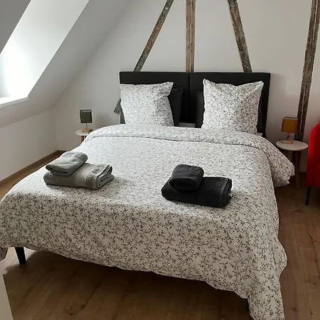Le Donjon Classe 4 Etoiles 120 M2 5mn Centre Au Calme Appartamento Strasburgo